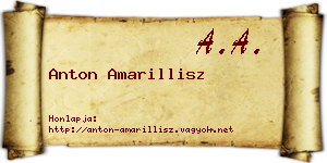 Anton Amarillisz névjegykártya